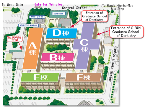 Graduate School of Dentistr Map