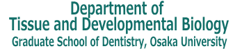 Dept of Tissue and Developmental Biology (Formerly Dept of Oral Anatomy and Developmental Biology), Graduate School of Dentistry, Osaka University