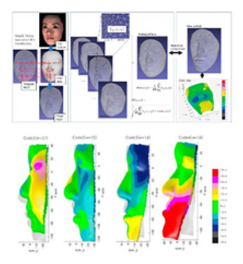 Face/head photography using 3dMD and 3D data analysis