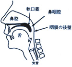 鼻咽腔周囲の構成